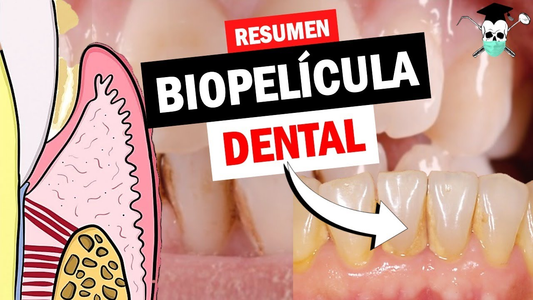 ¿Qué es el Biofilm y cómo Está Relacionado con las Infecciones y Enfermedades Periodontales?